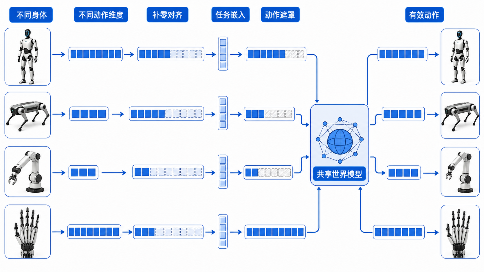 不同身体和动作维度如何进入同一个世界模型