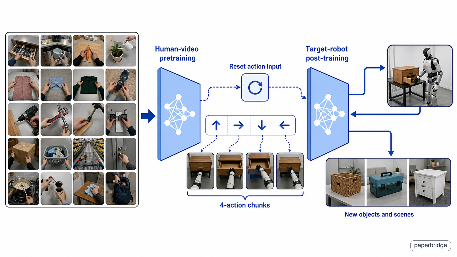 Human-video pretraining is followed by robot-specific action adaptation.