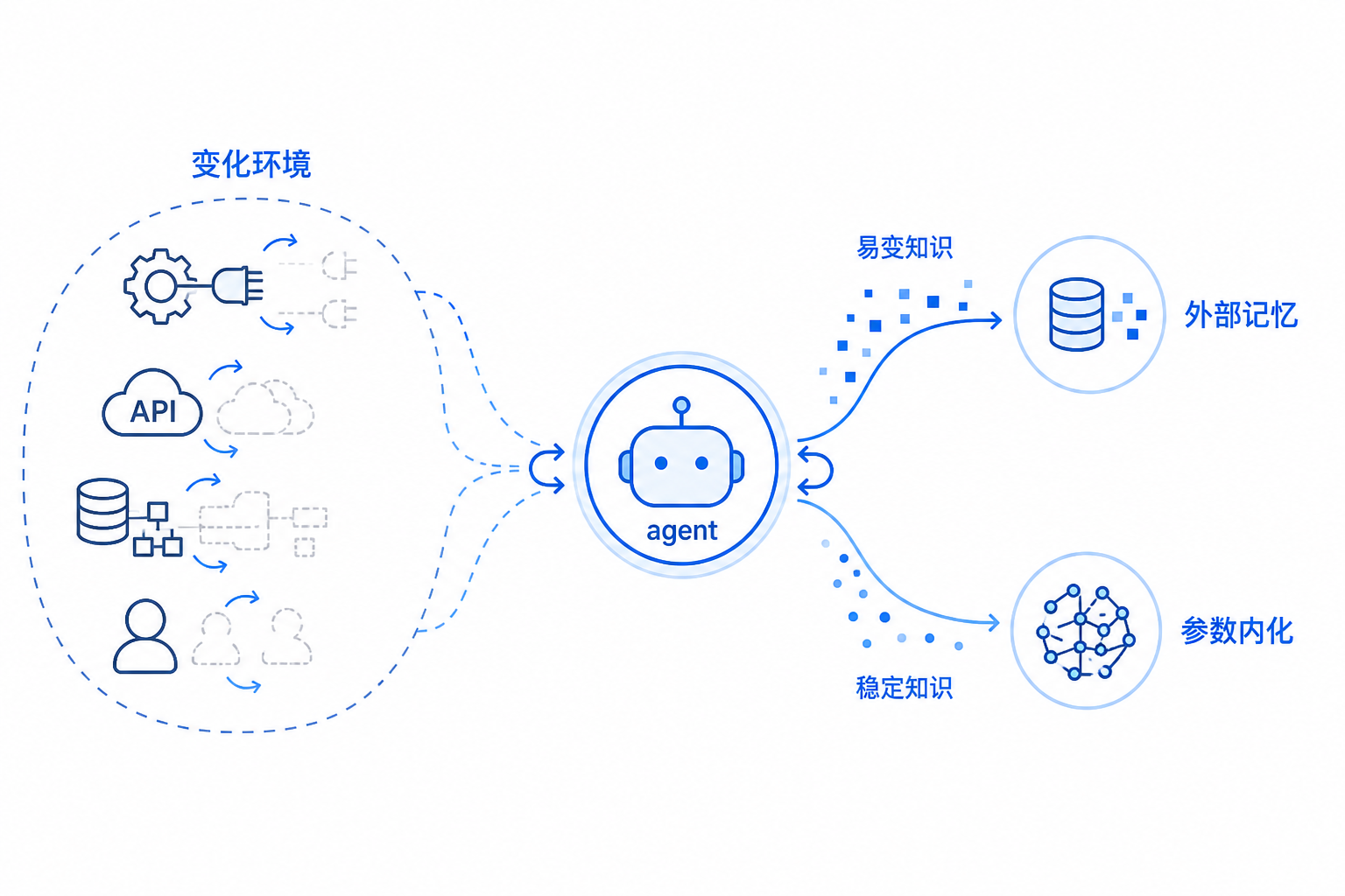 一张背景示意图：左侧是变化的外部环境，包含工具接口、API、数据库模式和用户需求；中间是代理；右侧分成外部记忆和参数内化两条路径，箭头表示变化知识更适合留在外部，稳定知识更适合写入参数。