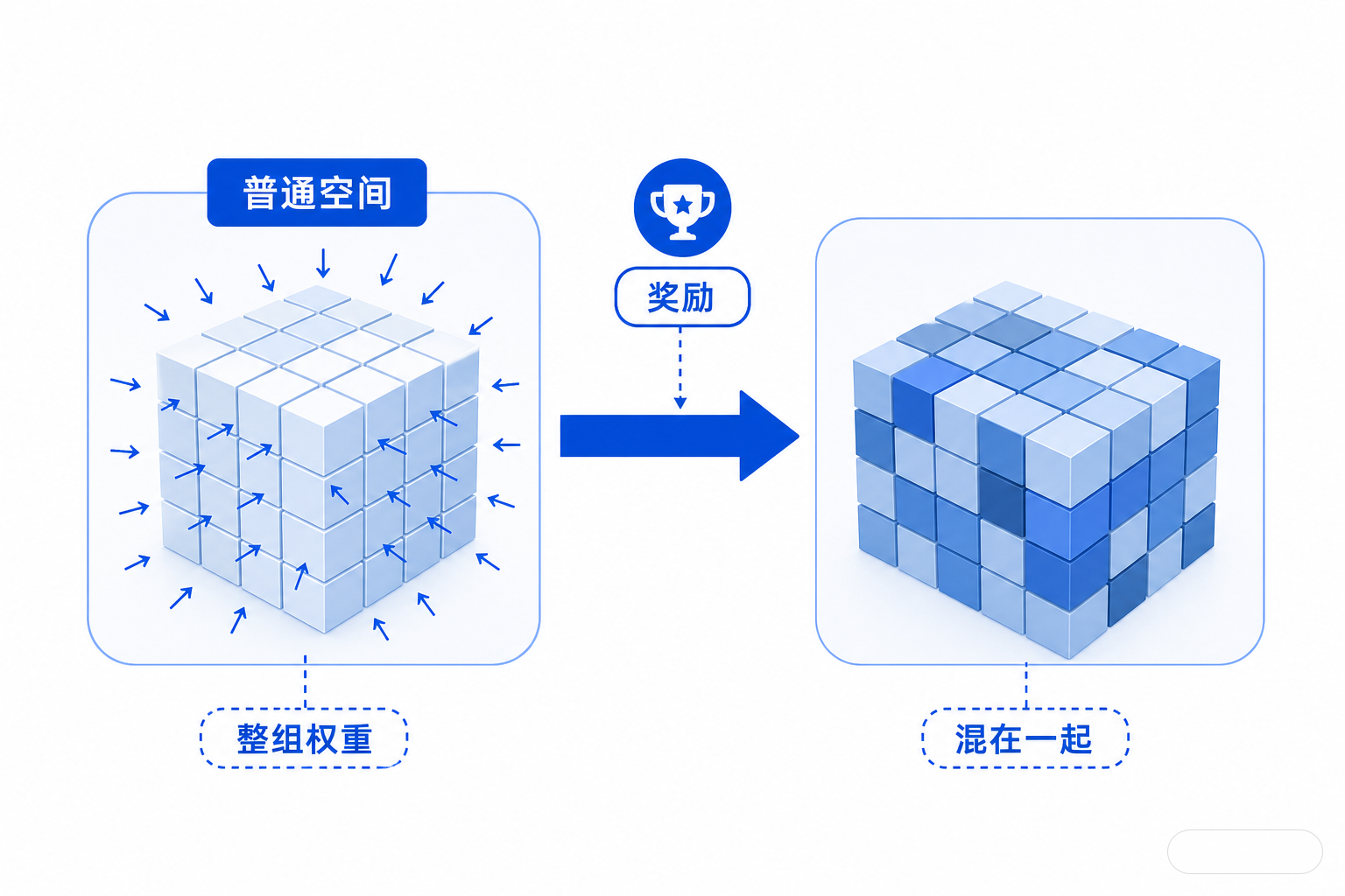 白底教学图，比较标准优化器在普通权重空间里的更新方式：所有参数一起被推着走，复用和改写混在一起。