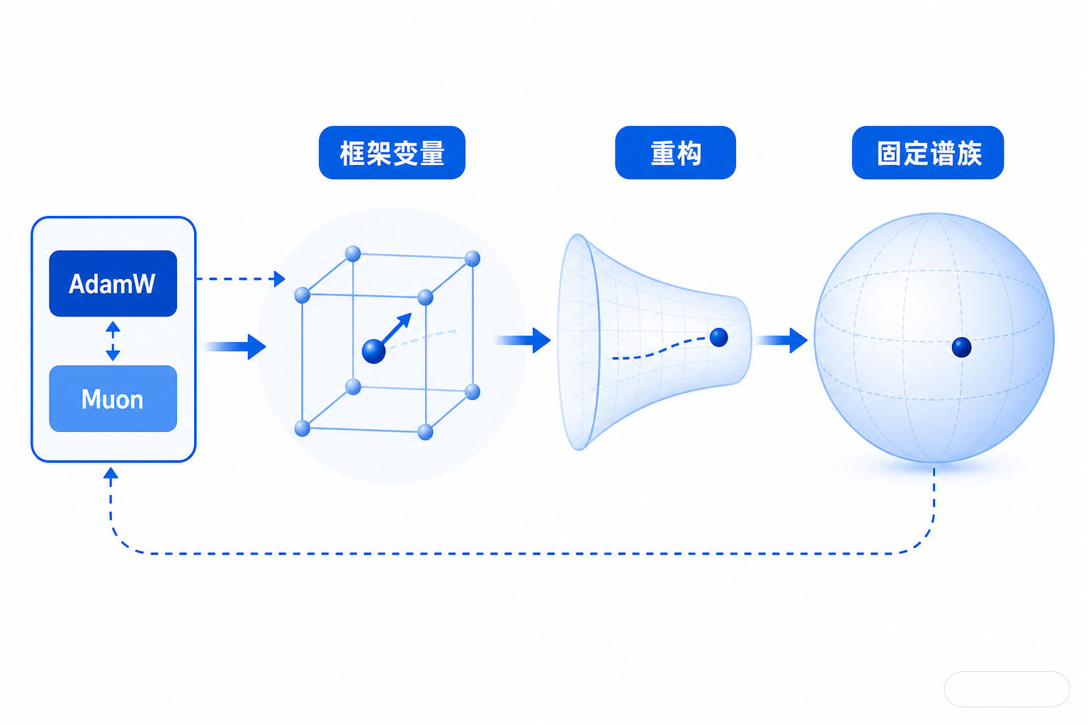 白底流程图，展示AdamW或Muon不再直接更新整个权重，而是更新框架变量，随后通过重构回到固定谱约束下。
